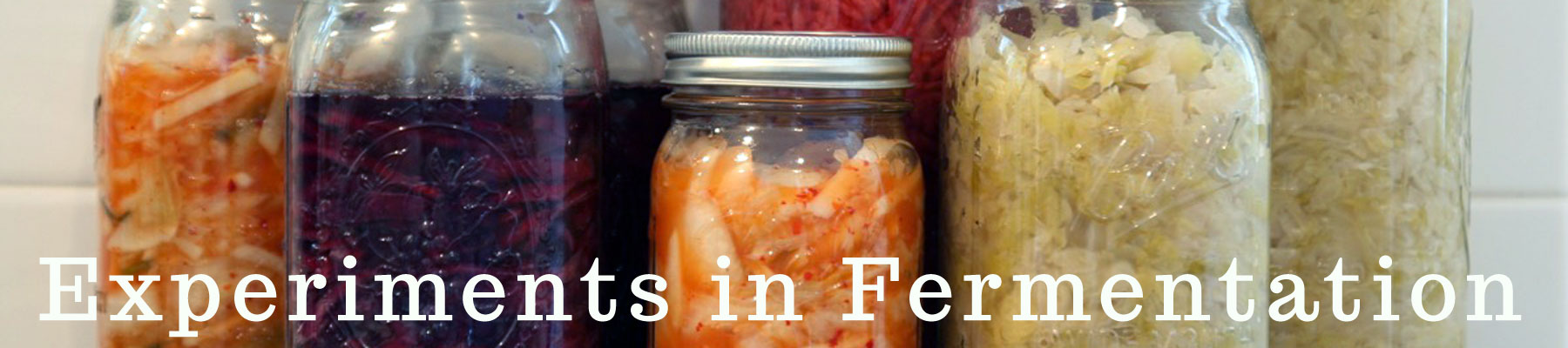 Experiments in Fermentation // 